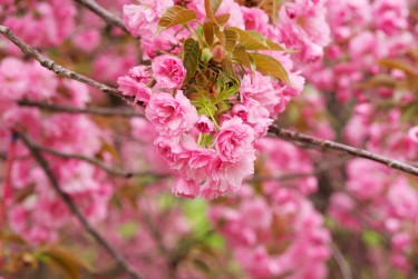 上海黄浦区8线下个人借款平台一站式服务，轻松解决资金难题