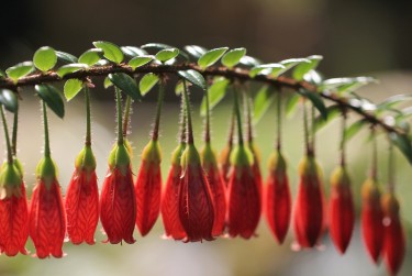 上海黄浦区8零用贷短借：轻松解决临时资金需求