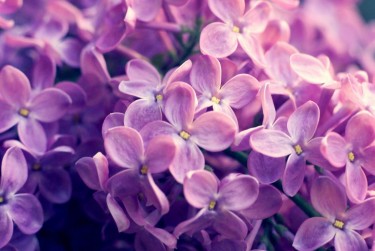 上海黄浦区8企业急用钱贷款攻略：快速融资解燃眉之急